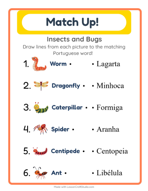 Picture-word match – Insects and Bugs