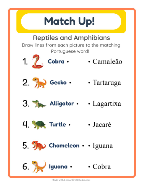 Picture-word match – Reptiles and Amphibians