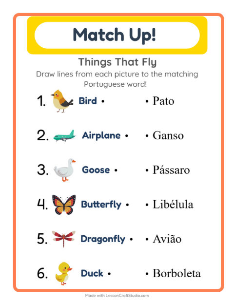 Picture-word match – Things That Fly