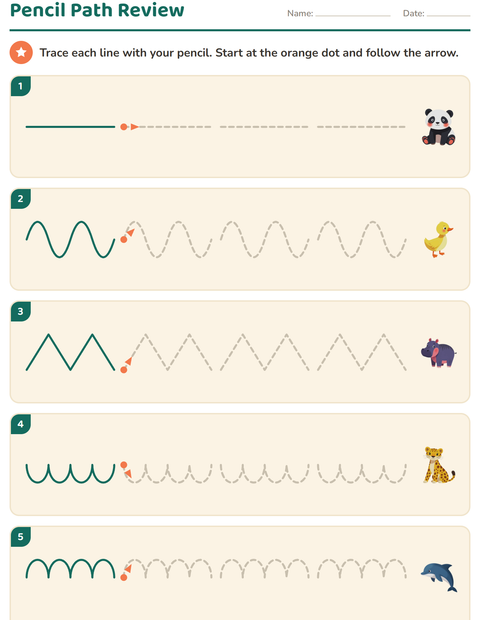 Preview of Pre-Writing Review: Five Lanes, Every Core Stroke