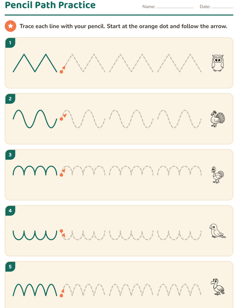 Preview of Pre-Writing Practice worksheet featuring Birds BW 2 for kindergarten