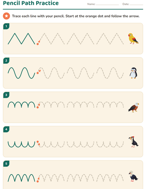 Preview of Pre-Writing Practice worksheet featuring Birds for kindergarten