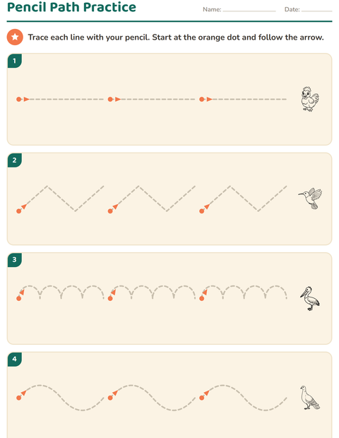 Preview of Pre-Writing Practice worksheet featuring Birds BW for kindergarten