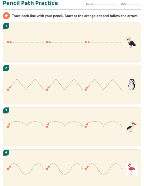Preview of Pre-Writing Practice worksheet featuring Birds for kindergarten
