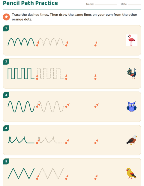 Preview of Pre-Writing Practice worksheet featuring Birds for kindergarten