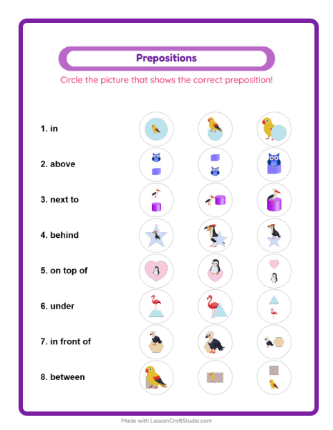 Prepositions with Birds