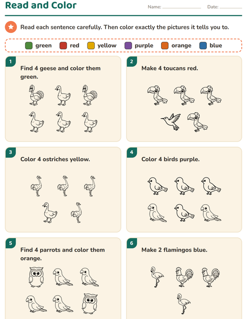Preview of Read and Color worksheet featuring Birds BW 2 for grade 1