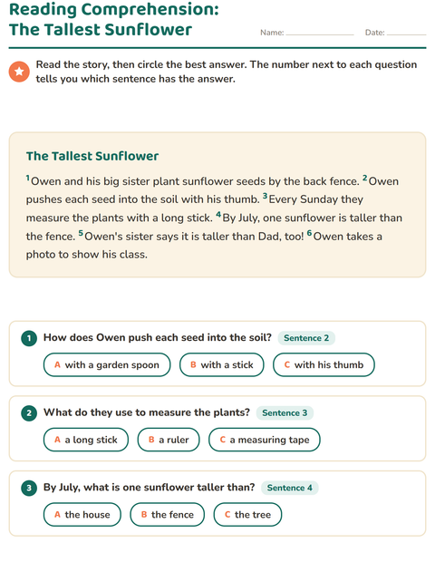 Preview of Reading Comprehension worksheet for grade 2