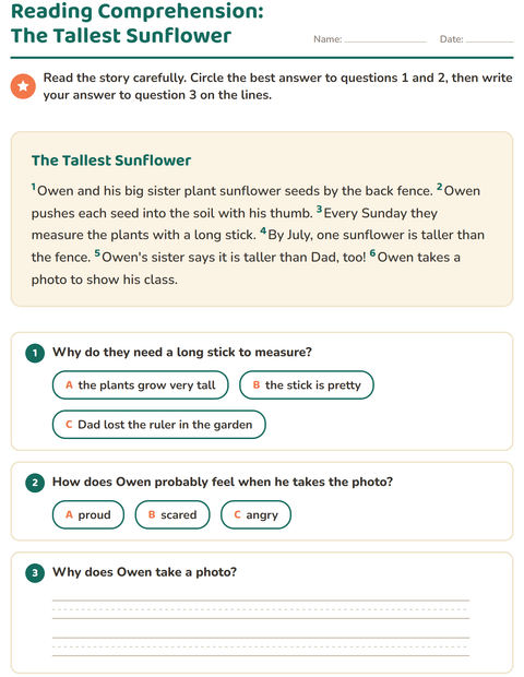 Preview of Reading Comprehension worksheet for grade 2