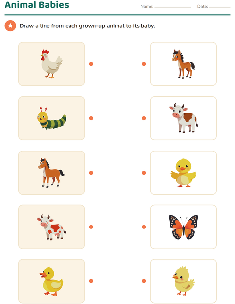 Preview of Science Matching worksheet for kindergarten