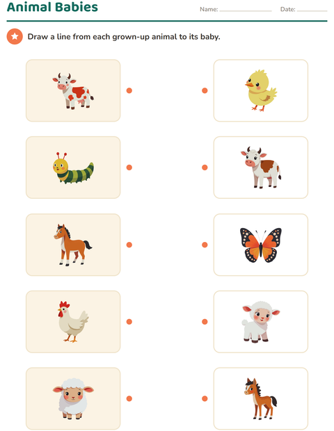 Preview of Science Matching worksheet for kindergarten