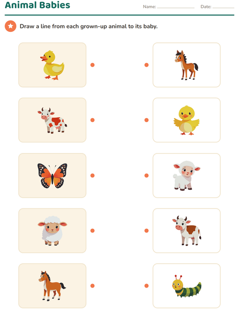Preview of Science Matching worksheet for kindergarten