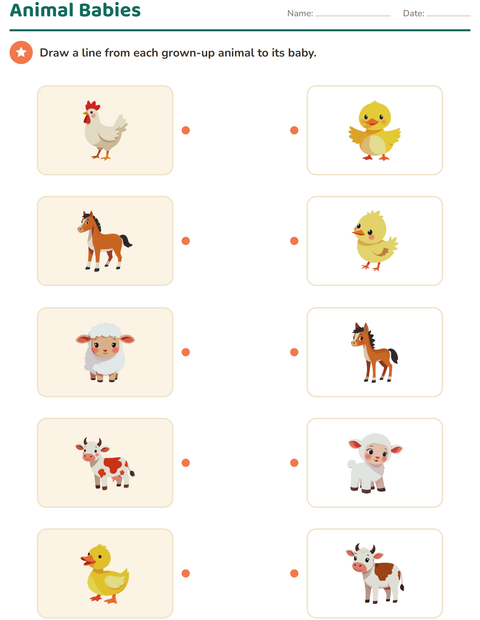Preview of Science Matching worksheet for kindergarten