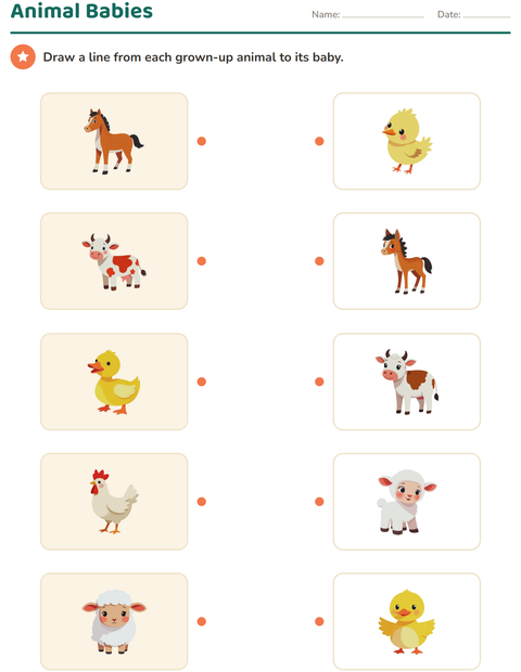 Preview of Science Matching worksheet for kindergarten
