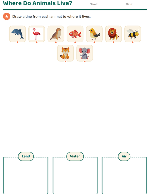 Preview of Science Sorting worksheet for grade 1