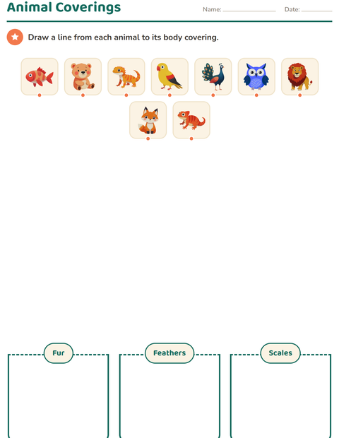 Preview of Science Sorting worksheet for grade 1