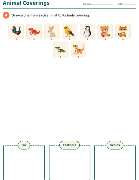 Preview of Science Sorting worksheet for grade 1