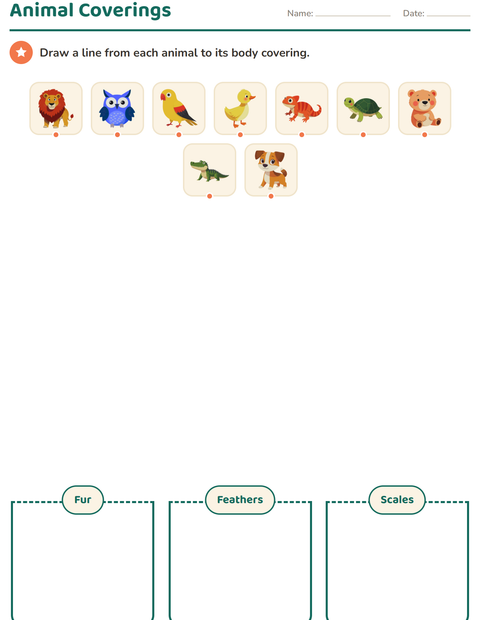 Preview of Science Sorting worksheet for grade 1