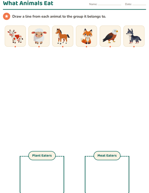 Preview of Science Sorting worksheet for grade 1