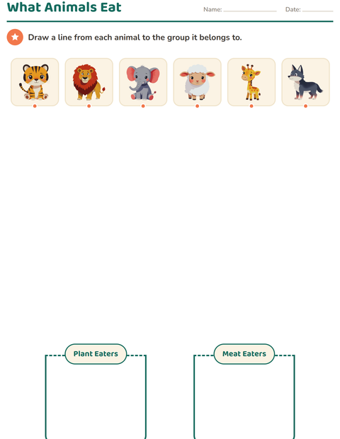 Preview of Science Sorting worksheet for grade 1