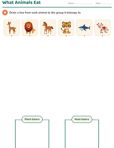 Preview of Science Sorting worksheet for grade 1