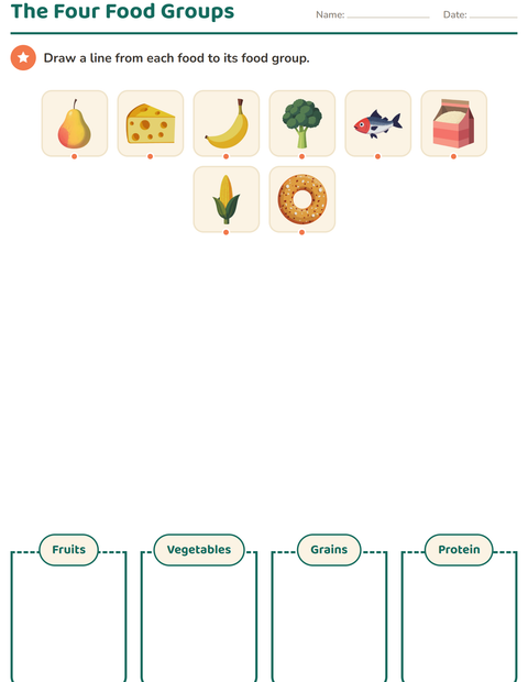 Preview of Science Sorting worksheet for grade 1