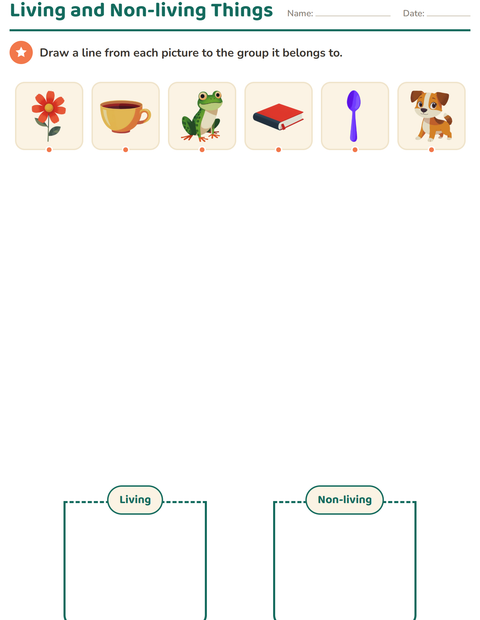 Preview of Science Sorting worksheet for kindergarten