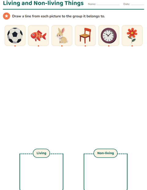 Preview of Science Sorting worksheet for kindergarten