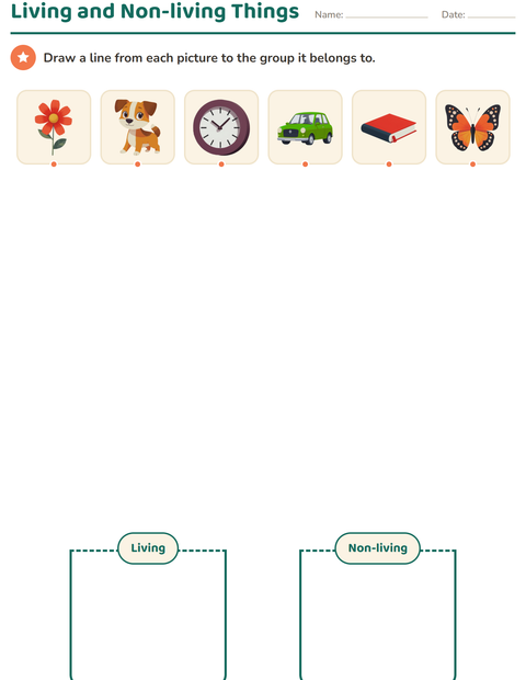 Preview of Science Sorting worksheet for kindergarten