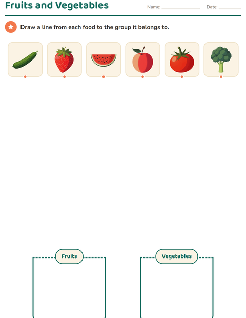Preview of Science Sorting worksheet for kindergarten