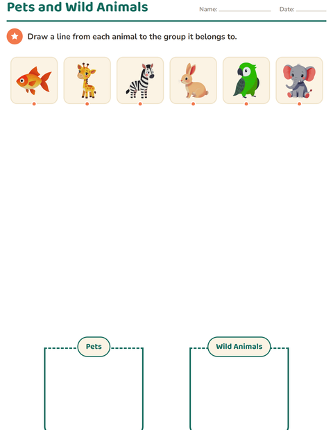 Preview of Science Sorting worksheet for kindergarten