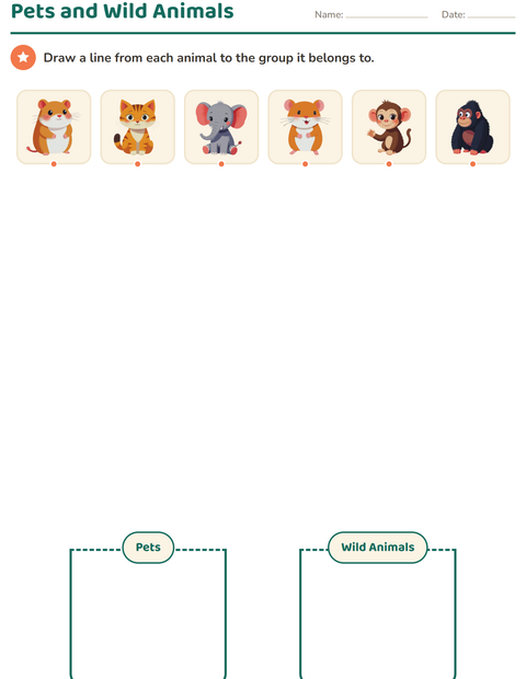 Preview of Science Sorting worksheet for kindergarten