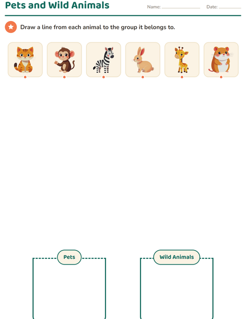 Preview of Science Sorting worksheet for kindergarten