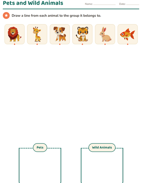 Preview of Science Sorting worksheet for kindergarten