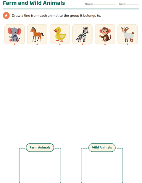 Preview of Science Sorting worksheet for kindergarten