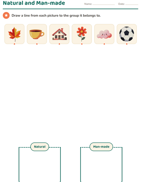 Preview of Science Sorting worksheet for kindergarten