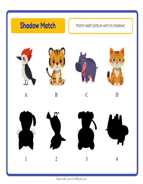 Shadow Matching with Animals