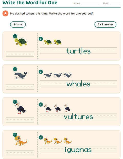 Write the Word for One: The Plural Is the Only Model