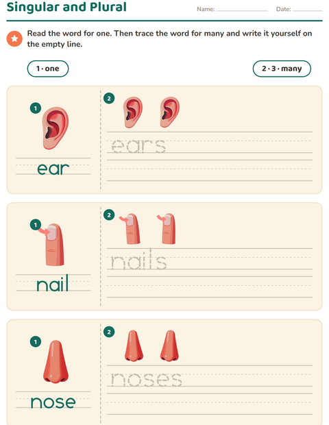Preview of Singular and Plural worksheet featuring Body Parts for kindergarten