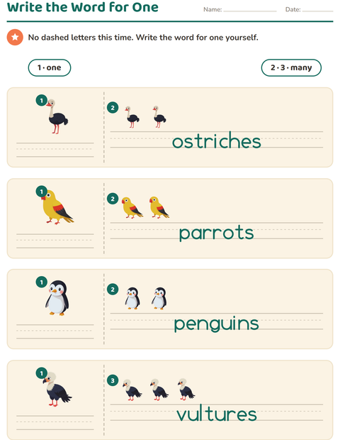 Preview of Singular and Plural worksheet featuring Birds for kindergarten