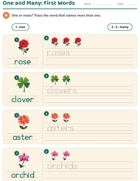Preview of Singular and Plural worksheet featuring Flowers for kindergarten