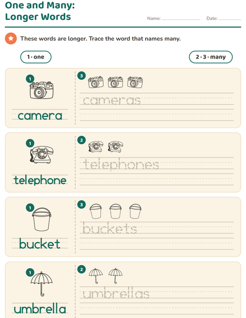 Preview of Singular and Plural worksheet featuring Household BW for kindergarten