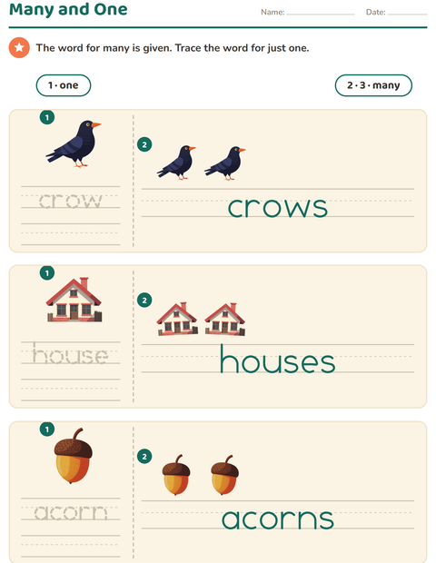 Preview of Singular and Plural worksheet featuring Miscellaneous for kindergarten