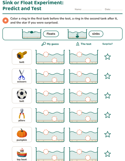 Sink or Float Experiment: Predict and Test