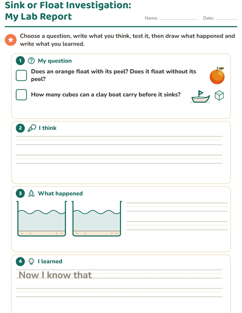 Preview of Sink or Float worksheet for grade 3