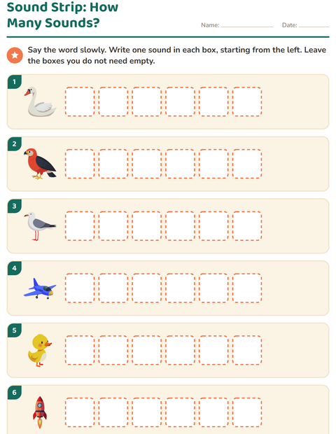 Preview of Sound Boxes worksheet featuring Things That Fly for grade 1