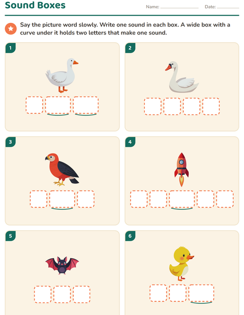 Preview of Sound Boxes worksheet featuring Things That Fly for kindergarten