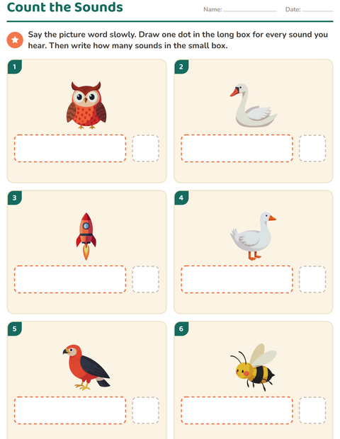 Preview of Sound Boxes worksheet featuring Things That Fly for kindergarten