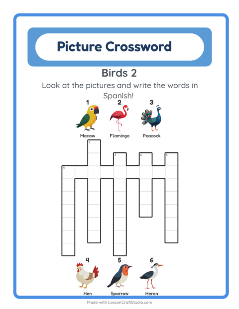 Picture crossword – More Birds