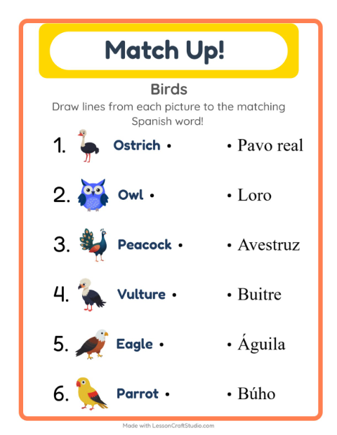 Picture-word match – Birds